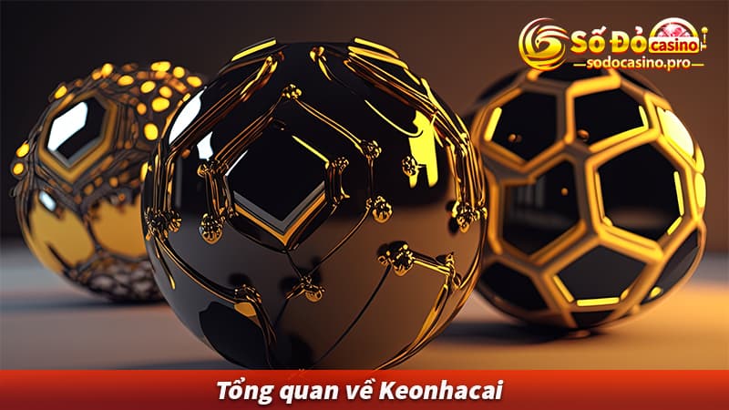 Tổng quan về keonhacai